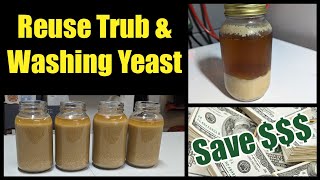 Reusing  Washing Yeast or Trub [upl. by Nolyd]