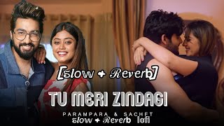 Tu Meri ZindagiAdayein Ep2ParamparaampSachetTSeries MixtapeRewindS3Abhijit V slowedandreverb [upl. by Ardnuassak]