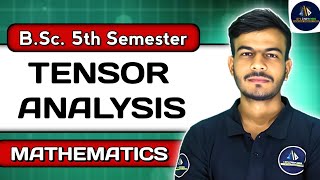 Tensor Analysis  Tensor Analysis in Hindi  BSc Maths 5th Semester [upl. by Engud]