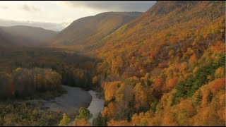 5 Places on Cape Breton Island to witness amazing Fall Colours [upl. by Arata506]