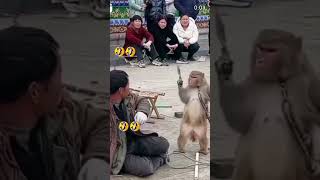 funnyvideo 🤣🤣🤣 [upl. by Ardnuek]