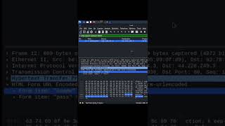 Wireshark Security Spotting Network Threats [upl. by Caruso897]