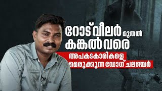 റോട് വീലർ മുതൽ കങ്കൽ വരെ അപകടകാരികളെ മെരുക്കുന്ന ഡോഗ് ചലഞ്ചർ  Viral Star  Dog Show  Leash Talks [upl. by Coppinger]