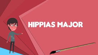 What is Hippias Major Explain Hippias Major Define Hippias Major Meaning of Hippias Major [upl. by Chambers]