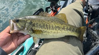 SEPTEMBER Largemouth Bass fishing Austin Texas 2023 TOP water and REACTION bites StrayCaster [upl. by Frodi150]