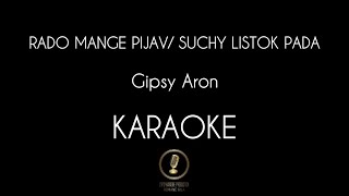 RADO MANGE PIJAV  SUCHY LISTOK PADA  Gipsy Aron  KARAOKE amp TEXT [upl. by Iny800]