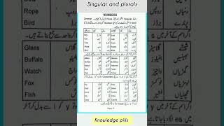 learn the basics of singular and plural form ls of English english [upl. by Nauqan]