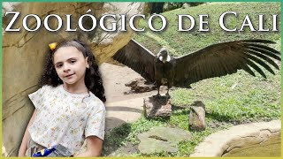 ¿Conoces los sonidos del Zoológico de Cali en la noche [upl. by Nathalie196]