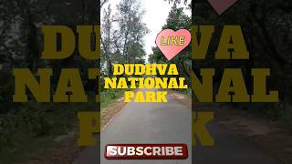 Dudhwa National Park lakhimpurkheri dudhwanationalpark [upl. by Rhys]