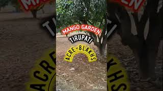 100 Acres mango garden sale  tirupati [upl. by Butte]