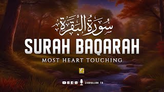 Best Surah Al Baqarah Full سورة البقره  Heart touching recitation  SOFT VOICE  Zikrullah TV [upl. by Schalles]