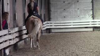 Dressage training Haflinger Horse Calysa FEI  KNHS  shoulderin amp halfpass [upl. by Imhskal]