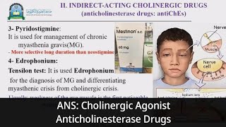 8 ANS Parasympathomimetic Indirect Acting Cholinergic Agonist Anticholinesterase Drugs [upl. by Tyne]