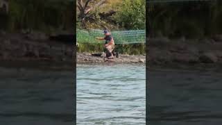 Catching Salmon on the Russian River salmonfishing [upl. by Dempsey]