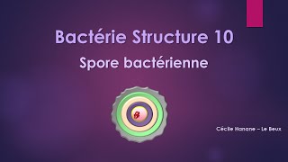 Bactérie Structure 10 SPORE BACTERIENNE sans musique de fond [upl. by Hux595]