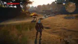 The Witcher 3 Bug Superspeed Geralt Unedited [upl. by Eivol]