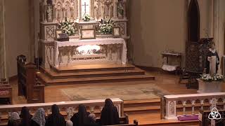 Dominican Rite Mass for the Feast of St Dominic August 4 2024 3 pm [upl. by Haidej]