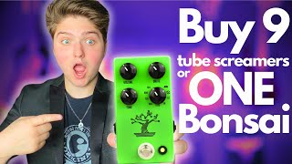 The NEWEST Legendary Guitar Pedal Is it still worth buying a Tube Screamer… [upl. by Yekram989]