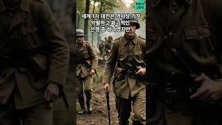 세계 1차 대전에서의 군사 기술 혁명 전쟁의 새로운 시대 개막 [upl. by Nihs]