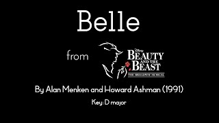 Belle karaokeinstrumental  Beauty and the Beast musical [upl. by Kcuhc130]