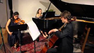 Brahms Piano Trio no 3 in C minor op 101  1st mvt excerpt [upl. by Correna]