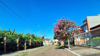 Vento leste impede dia de calor em Porto Alegre mas só até hoje  13012024 [upl. by Layton]