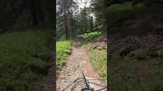 Single Trail  Fast stone section🤙 bike enduromtb mtb mountainbike mtblife viral shorts chur [upl. by Obaza49]