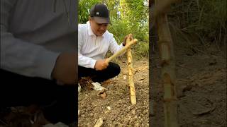 Worm Charming worms fyp diy lifehacks experiment [upl. by Myrtie]