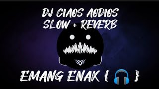 DJ CIAO ADIOS  SLOW  REVERB [upl. by Rambort583]