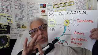 Exam secret 33 Dendrites are the KEY to Intelligence By Dr Ahmed Adam [upl. by Devy]