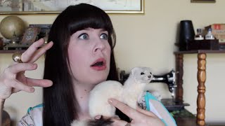 Ask a Mortician Human Taxidermy [upl. by Aissila]