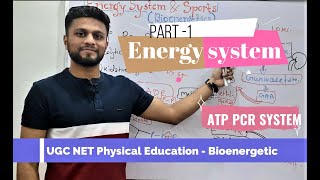 Energy System PART 1 ATP PCR System Biochemical aspects of exerciseUGC NET Physical Education [upl. by Nahtad]