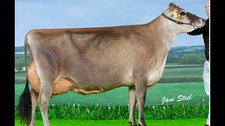 Rivermead Minx Candy  1st Senior Jersey amp Supreme Champion 2023 UK Dairy Expo [upl. by Winola]