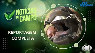 ODONTOLOGIA EQUINA PAUDALHO PGM NOTÍCIAS DO CAMPO N104 271024 [upl. by Kitty]