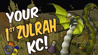 Zulrah Guide for Beginners OSRS  First Zulrah Kc [upl. by Aneerbas]