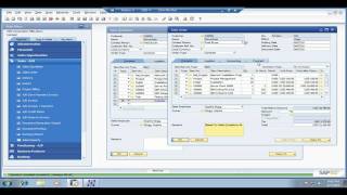 Project Management  SAP [upl. by Ojeitak]