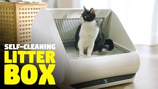 This selfcleaning litter box is awesome [upl. by Stephi]