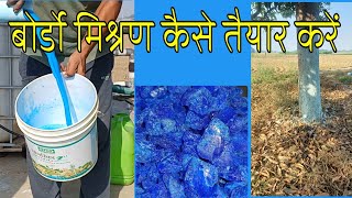 बोर्डो मिश्रण तैयार करने का सबसे आसान तरीका bordo paste kaise banaye naturalfarming [upl. by Amato]