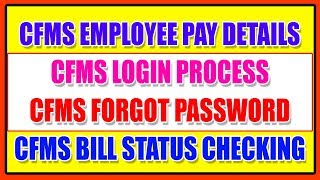 CFMS EMPLOYEE PAY SLIP DETAILS [upl. by Cami]