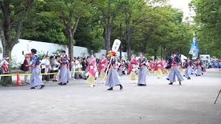 祭屋よさこい踊り子隊【4K】／NHK前ストリート／原宿表参道元氣祭スーパーよさこい 2024（初日） [upl. by Mutat]