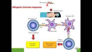 Immunosuppressive drugs [upl. by Valene778]