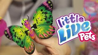 Little Live Pets Mój Motyl [upl. by Eaton]