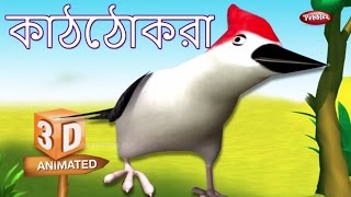 Woodpecker Rhyme in Bengali  বাংলা গান  Bengali Rhymes For Kids  3D Bird Songs in Bengali  Poems [upl. by Maharba]