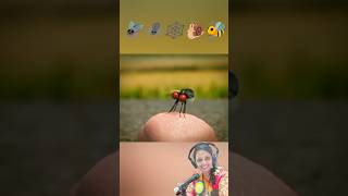 moralstories telugustorie teluguaudiobook jeevithasatyalu fly spider snail web bee stories [upl. by Martens173]