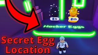 New SECRET Hacker Egg Location  Roblox Pet Simulator X [upl. by Ramilahs79]