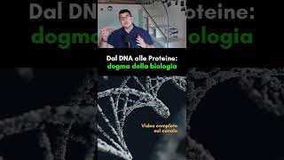 Dal DNA alle Proteine il dogma della biologia molecolare [upl. by Atonsah]