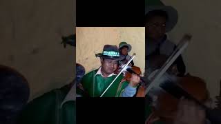 Huayno jarana Arpa y Violin ayacucho sierra peru ayacucho musica huaynosperuanos [upl. by Enilegna818]