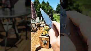 TRM ATOM knifecommunity edc knife everydaycarry blade pocketknife knivesofyoutube pocketdump [upl. by Templa]