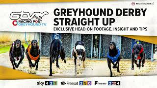 Greyhound Derby Straight Up  Third Round  Greyhound Tips  RPGTV [upl. by Acinorrev]