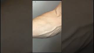 Best exercise for Forearms 🔥 shorts viralshorts [upl. by Ahsan]